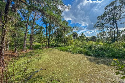 Terreno en venta en Haines City, Florida № 1402307 - foto 5