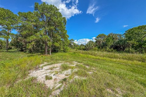 Terreno en venta en Haines City, Florida № 1402307 - foto 17