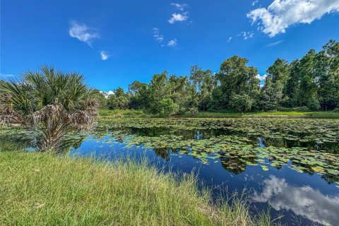 Terreno en venta en Haines City, Florida № 1402307 - foto 19