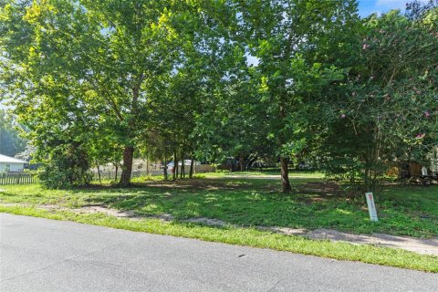 Terreno en venta en Lady Lake, Florida № 1299691 - foto 8