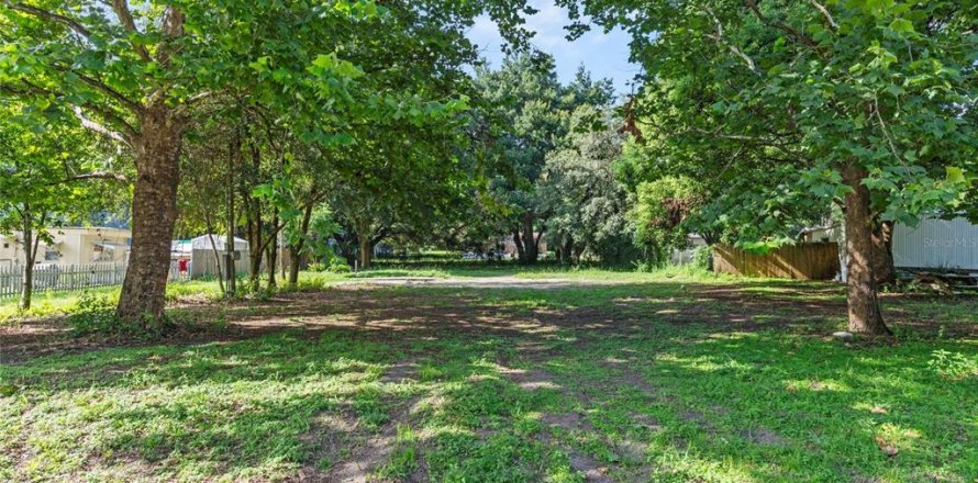 Terreno en Lady Lake, Florida № 1299691