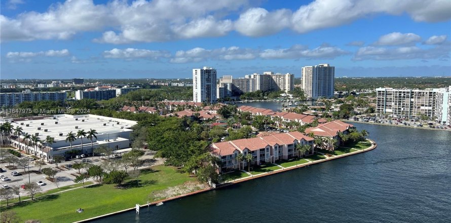 Condo in Hollywood, Florida, 1 bedroom  № 1330343