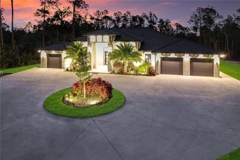 Villa ou maison à vendre à Naples, Floride: 5 chambres № 574537 - photo 3
