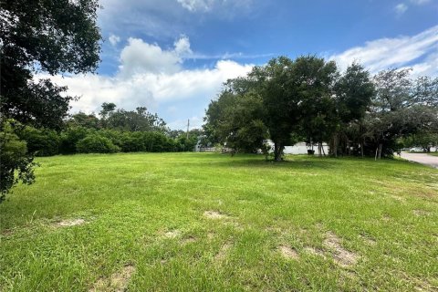 Terreno en venta en Saint Petersburg, Florida № 1318437 - foto 2