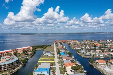 Land in Punta Gorda, Florida № 835470 - photo 10