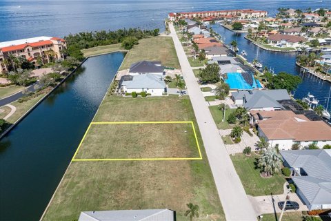 Terreno en venta en Punta Gorda, Florida № 835470 - foto 8