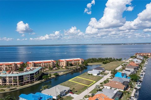 Terrain à vendre à Punta Gorda, Floride № 835470 - photo 6