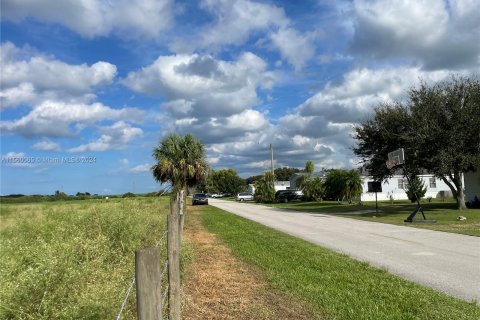 Купить земельный участок в Клуистон, Флорида № 1091577 - фото 3