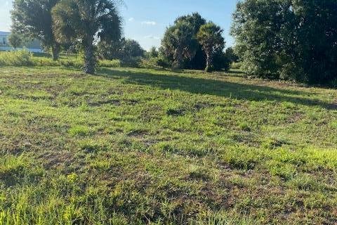 Land in Okeechobee, Florida № 1209217 - photo 3