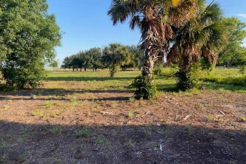 Land in Okeechobee, Florida № 1209217 - photo 1