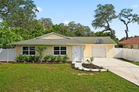 House in Clearwater, Florida 4 bedrooms, 193.33 sq.m. № 1344127 - photo 1