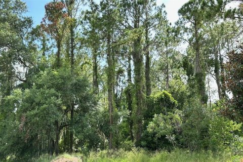 Terreno en venta en Montverde, Florida № 1304330 - foto 2