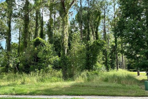 Terreno en venta en Montverde, Florida № 1304330 - foto 1