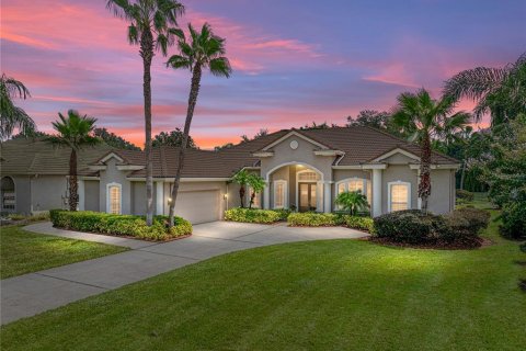 Villa ou maison à vendre à Dade City, Floride: 3 chambres, 265.7 m2 № 1319425 - photo 1