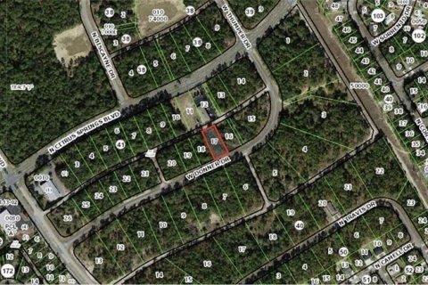 Terreno en venta en Citrus Springs, Florida № 1370110 - foto 5