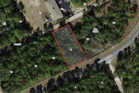 Terreno en venta en Citrus Springs, Florida № 1370110 - foto 6