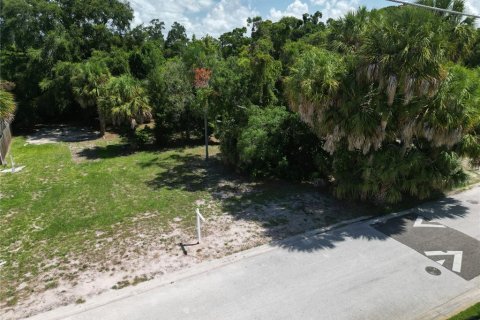 Terreno en venta en Saint Petersburg, Florida № 1306917 - foto 4