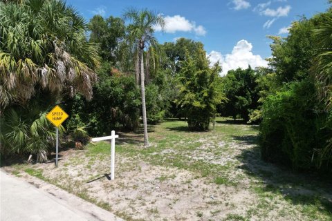 Terreno en venta en Saint Petersburg, Florida № 1306917 - foto 5