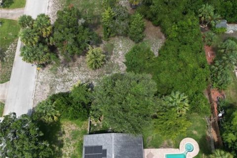 Terreno en venta en Saint Petersburg, Florida № 1306917 - foto 3