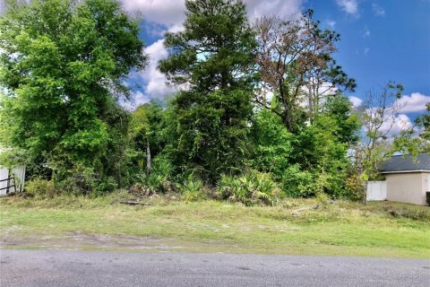 Land in Deltona, Florida № 1307861 - photo 2