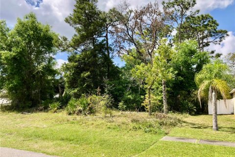 Terrain à vendre à Deltona, Floride № 1307861 - photo 3