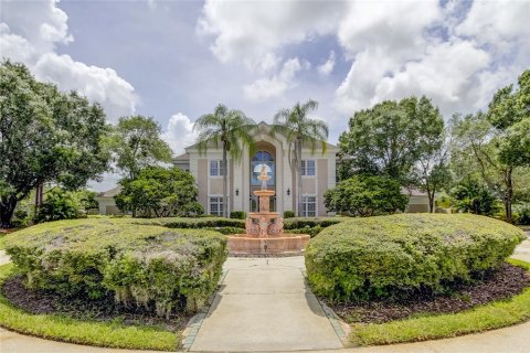 Villa ou maison à vendre à Lutz, Floride: 5 chambres, 474.73 m2 № 1148462 - photo 1