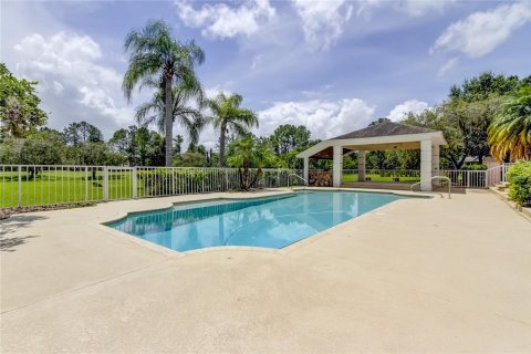 Villa ou maison à vendre à Lutz, Floride: 5 chambres, 474.73 m2 № 1148462 - photo 23