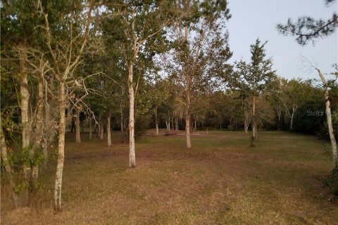 Land in Wesley Chapel, Florida № 1382537 - photo 1