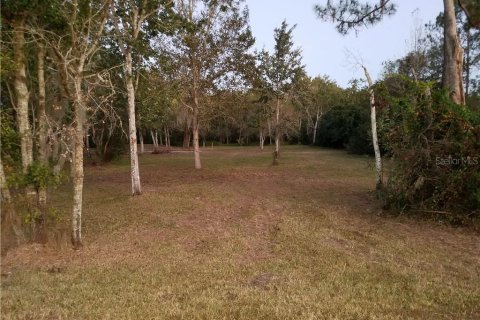 Land in Wesley Chapel, Florida № 1382537 - photo 4