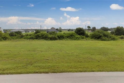 Terrain à vendre à Cape Coral, Floride № 262398 - photo 8