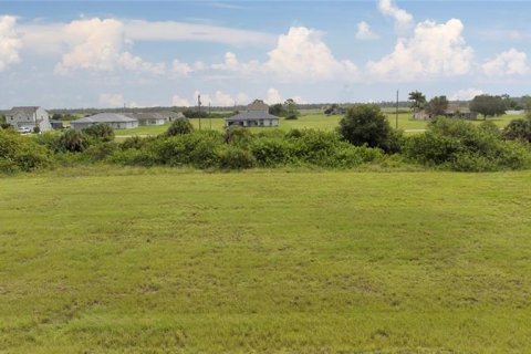 Land in Cape Coral, Florida № 262398 - photo 1