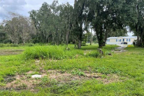 Land in Mulberry, Florida № 1361889 - photo 3