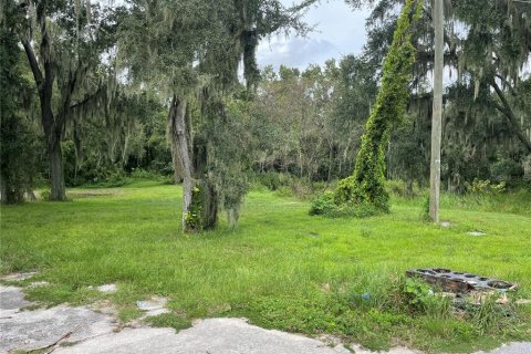 Land in Mulberry, Florida № 1361889 - photo 1