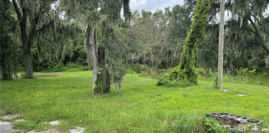 Land in Mulberry, Florida № 1361889