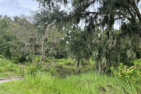 Terrain à vendre à Mulberry, Floride № 1361889 - photo 4