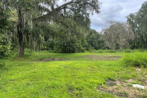 Terrain à vendre à Mulberry, Floride № 1361889 - photo 2