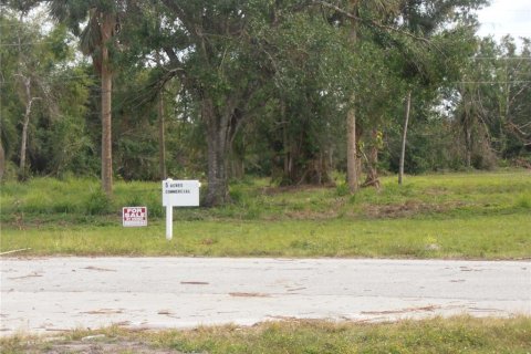Купить коммерческую недвижимость в Пунта-Горда, Флорида № 906509 - фото 3