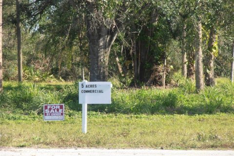 Immobilier commercial à vendre à Punta Gorda, Floride № 906509 - photo 1