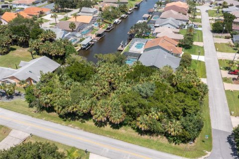 Купить земельный участок в Палм-Кост, Флорида № 660792 - фото 1