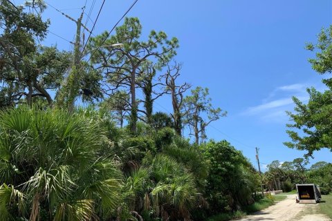 Land in Venice, Florida № 1353619 - photo 8