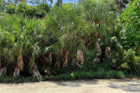 Land in Venice, Florida № 1353619 - photo 5