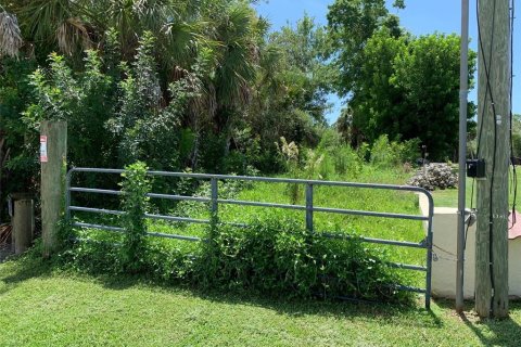 Land in Venice, Florida № 1353619 - photo 1