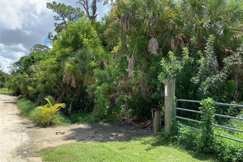 Land in Venice, Florida № 1353619 - photo 2