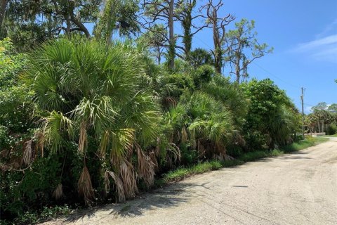 Land in Venice, Florida № 1353619 - photo 6