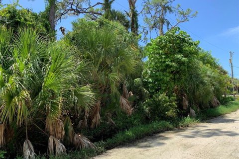 Land in Venice, Florida № 1353619 - photo 7