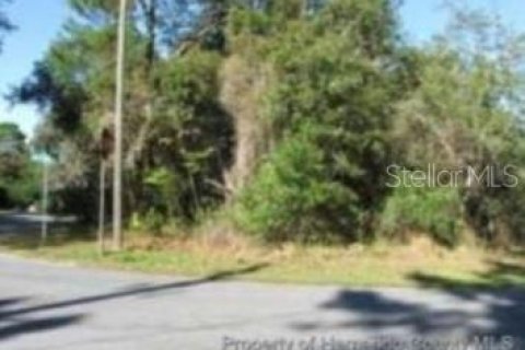 Terreno en venta en Spring Hill, Florida № 1353621 - foto 2