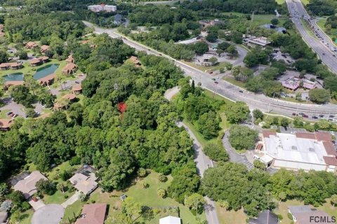 Terreno en venta en Palm Coast, Florida № 1295372 - foto 6