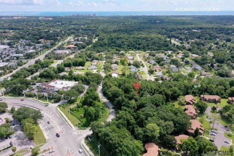 Terreno en venta en Palm Coast, Florida № 1295372 - foto 3