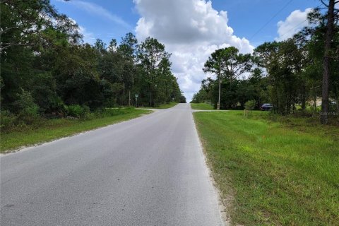 Terrain à vendre à Dunnellon, Floride № 1373168 - photo 8