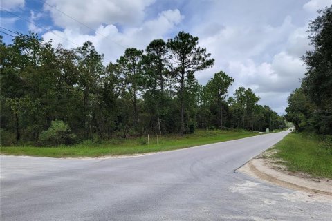 Terreno en venta en Dunnellon, Florida № 1373168 - foto 6